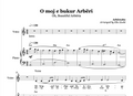 O Moj e bukur Arbëri | Piano & Voice Sheet Music