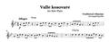 Valle kosovare, Flute Music Sheet - Alb Music Notes